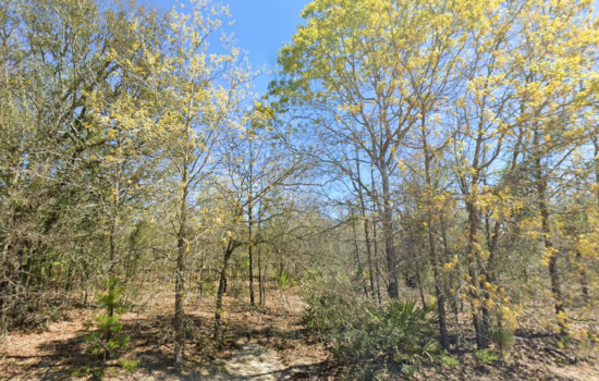 1.55 acres | Located in Coffee County, GA