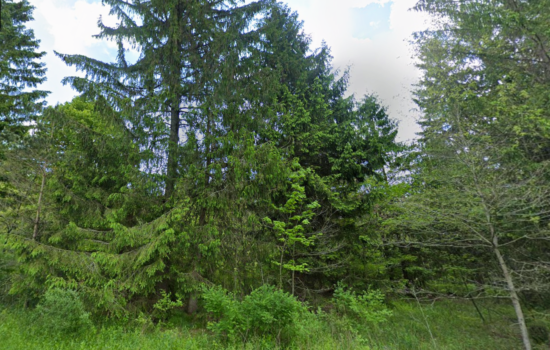 1.76 acres | Located in Allegany County, MD