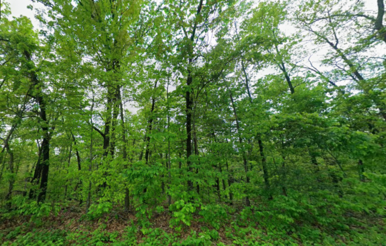 1.3 acres | Located in Wright County, MO