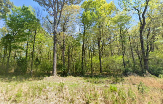 40 acres | Located in Hempstead County, AR