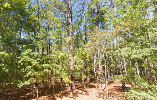 2.26 acres | Located in Kershaw County, SC