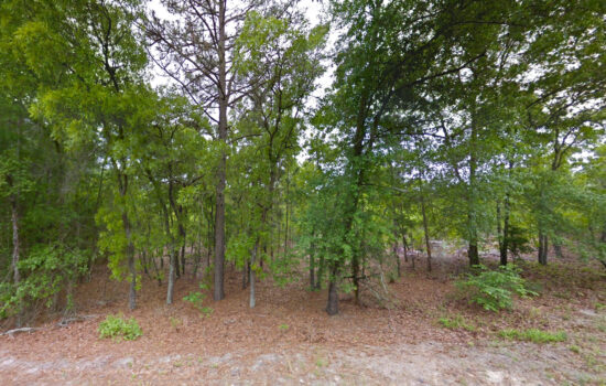 5.58 acres | Located in Sumter County, SC