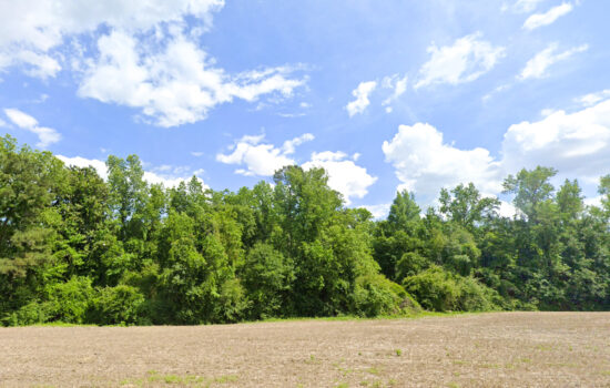 23.78 acres | Located in Columbus County, NC