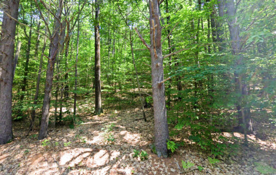 5.23 acres | Located in Cheshire County, NH