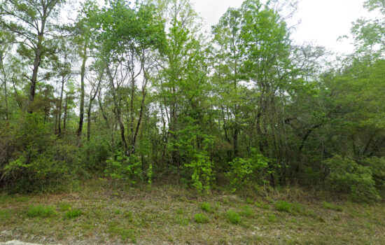 0.92 acres | Located in Dixie County, FL