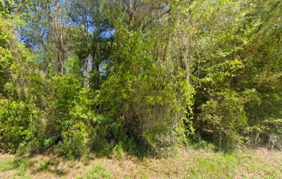 0.55 acres | Located in Columbia County, FL