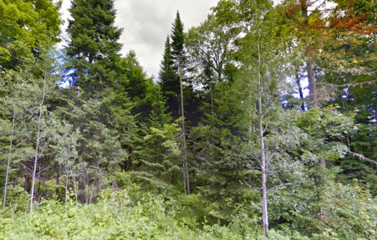 4.2 acres | Located in Aroostook County, ME