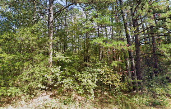 12.76 acres (2 lots) | Located in Crawford County, AR
