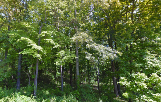 5.7 acres | Located in McMinn County, TN