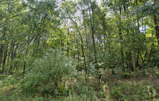 0.64 acres (2 lots) | Located in Columbiana County, OH