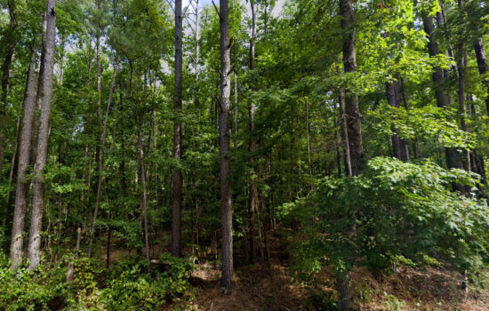 3.2 acres | Located in Lee County, AL