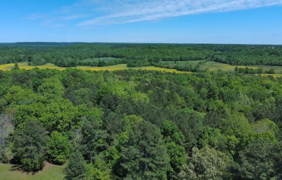15 acres | Located in Lawrence County, AL