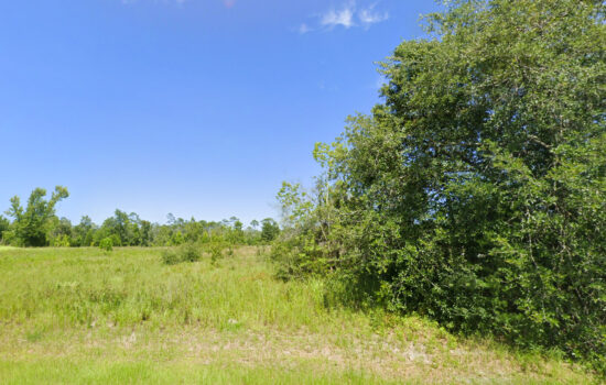 0.52 acres | Located in Gulf County, FL