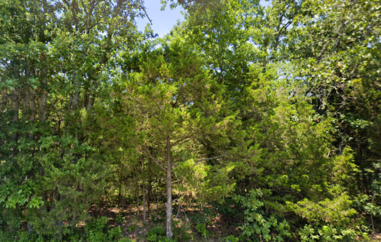 1.06 acre | Located in Pulaski County, MO