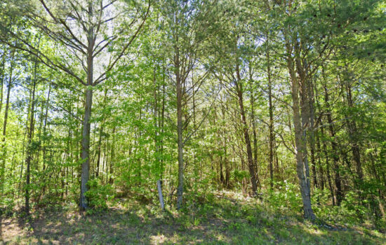 6.84 acres | Located in Talladega County, AL