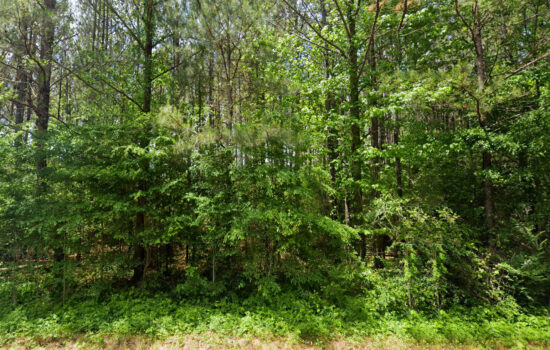 7.13 acres | Located in Talladega County, AL