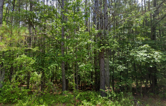 22.8 acres | Located in Walker County, AL