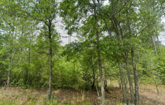 3.08 acres | Located in Dorchester County, SC