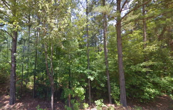 3 acres | Located in Talladega County, AL