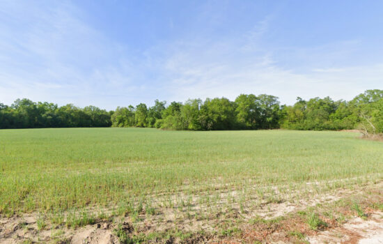 63 acres | Located in Houston County, AL