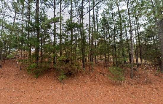 24 acres | Located in Talladega County, AL