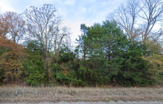 45 acres | Located in Talladega County, AL