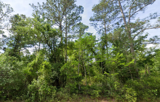 40 acres | Located in Suwannee County, FL