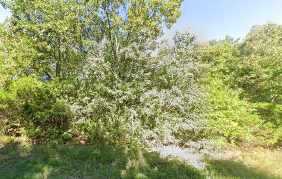 7.99 acres | Located in Baxter County, AR