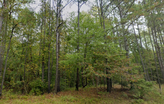 2.02 acres | Located in Chilton County, AL