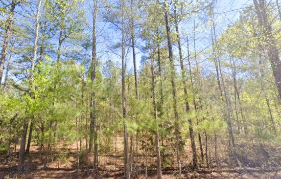 14.2 acres | Located in Talladega County, AL
