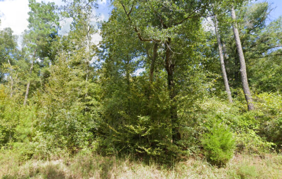 14.02 acres | Located in Jackson County, FL