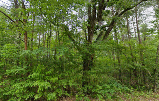 2.41 acres | Located in Lauderdale County, AL