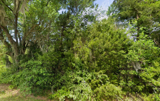 14.5 acres | Located in Jackson County, FL
