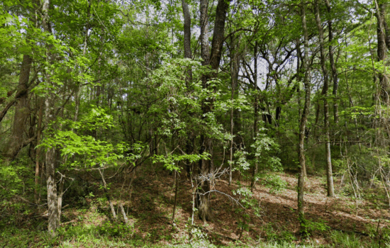 1.28 acres | Located in Madison County, FL