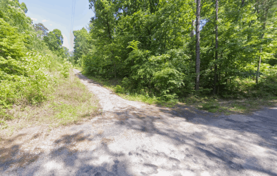 3 acres | Located in St. Clair County, AL