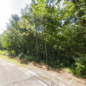 3 Acres | Wooded & Unrestricted | St. Clair County, AL