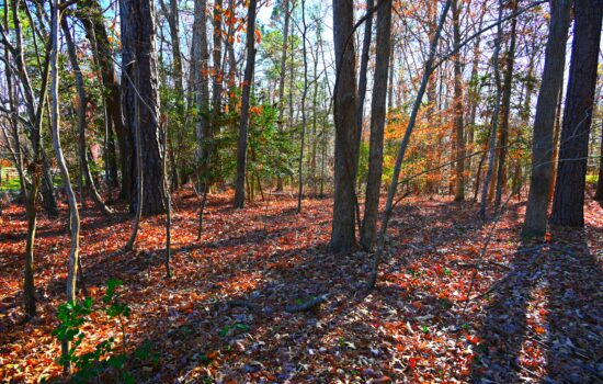 1 acre | Located in Wake County, NC