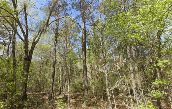 5 acres | Located in Cherokee County, TX