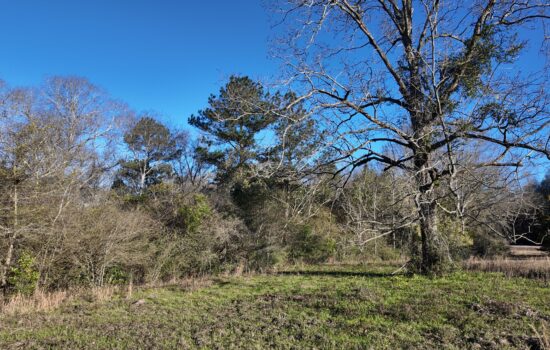 5 acres | Located in Covington County, AL