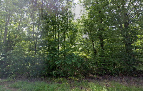 1.06 acres | Located in Charlotte County, VA