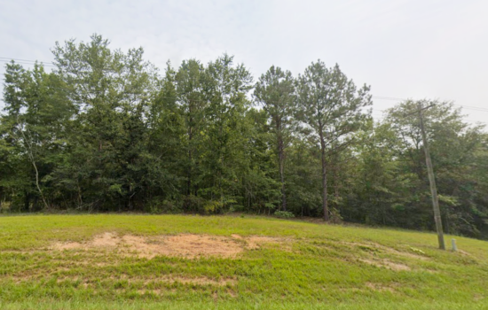 4.59 acres | Located in Taylor County, GA