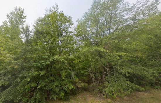 6.5 acres | Located in Taylor County, GA
