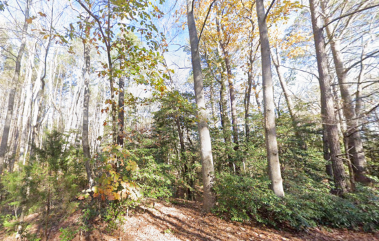 8.78 acres | Located in Northumberland County, VA