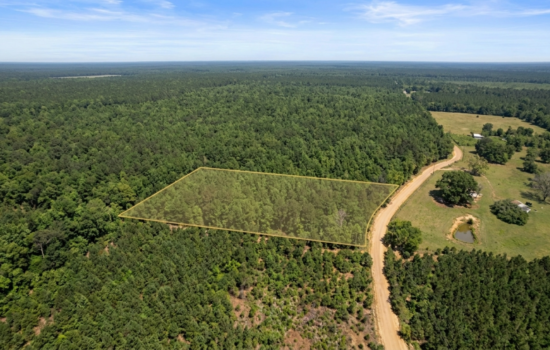 2 acres | Located in Macon County, AL