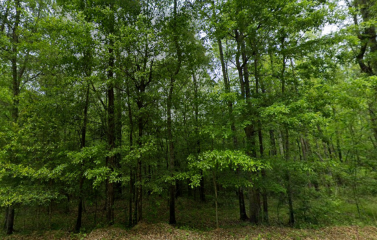 2 acres | Located in Macon County, AL