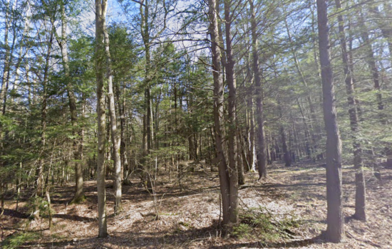 1.7 acres | Located in Cambria County, PA