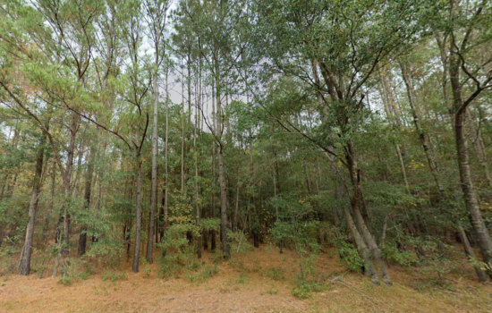 2.91 acres | Located in Pender County, NC