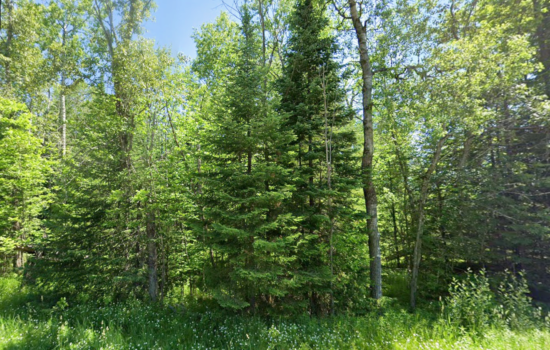 10.1 acres | Located in Ogemaw County, MI