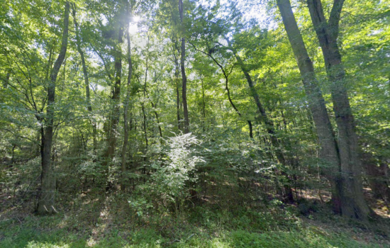 1.003 acres | Located in Marshall County, AL