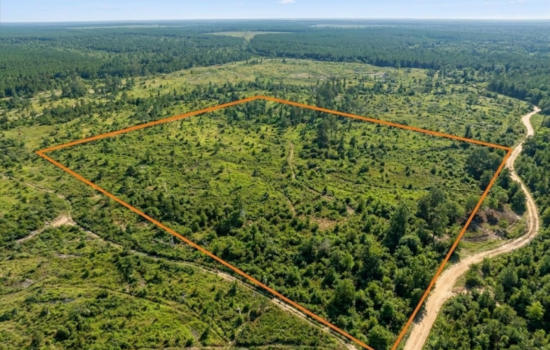 40 acres | Located in Hempstead County, AR